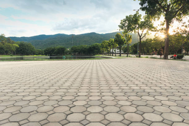 Best Driveway Pavers Near Me  in Elon, NC